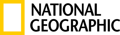 Logo 9